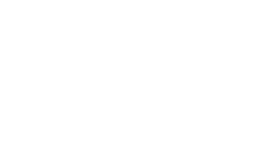 Melanie R. Mayer P.C.